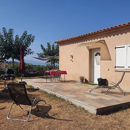 Studio Mitoyen A La Campagne Vue Sur La Mer Cargèse Extérieur photo