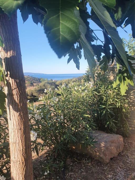 Studio Mitoyen A La Campagne Vue Sur La Mer Cargèse Extérieur photo