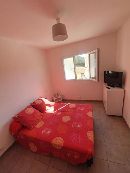 Studio Mitoyen A La Campagne Vue Sur La Mer Cargèse Extérieur photo